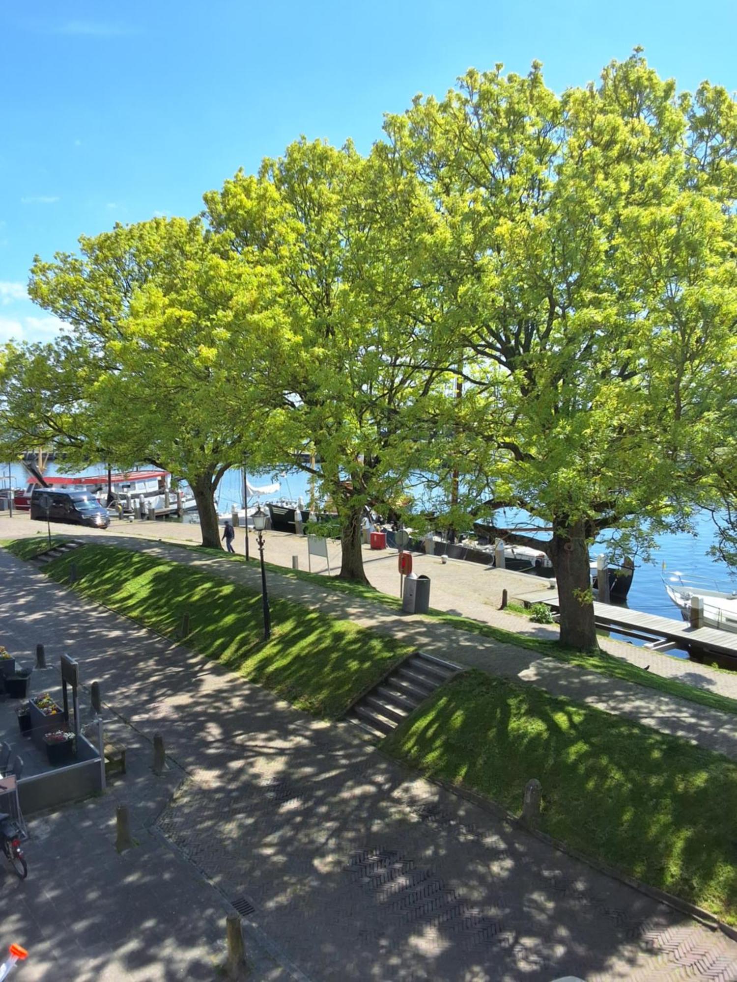 Deluxe One-Bedroom Apartment with Harbour View